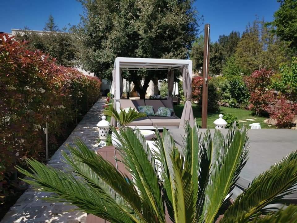 Apulia Dream B&B Le Lamie di Olimpe Экстерьер фото